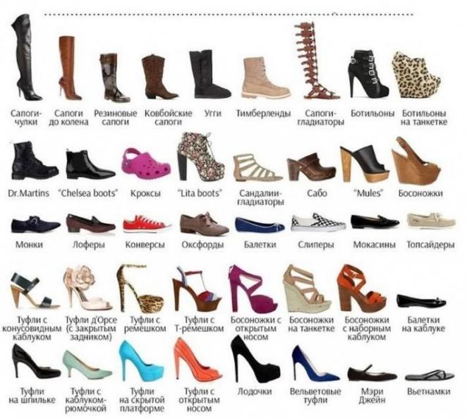 Виды женской обуви